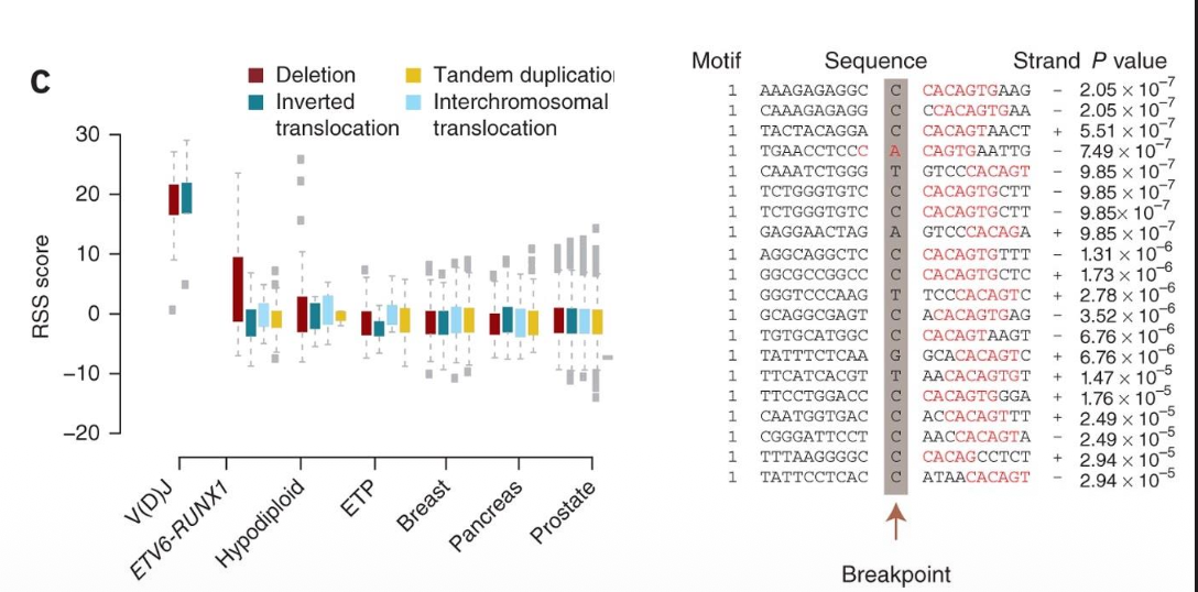 RAG-mediated recombination