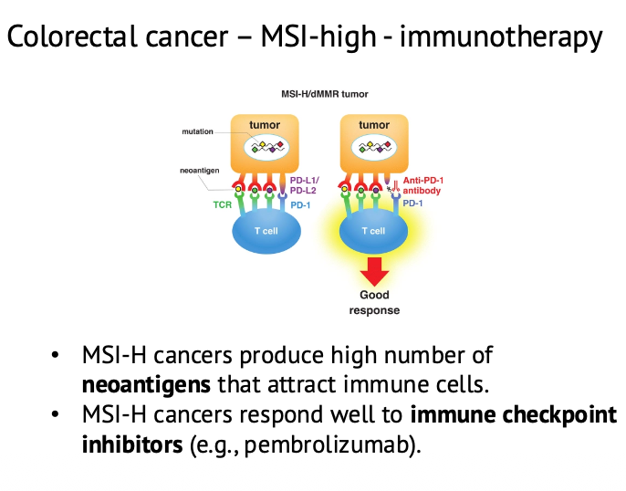 Colorectal cancer – MSI-high - immunotherapy