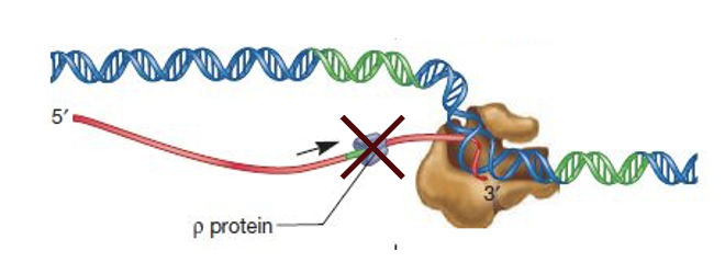 Bicyclomycin