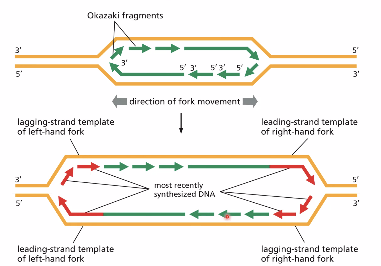 מקטעי אוקזקי