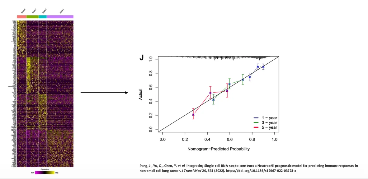 non-small cell lung cancer prognosis model by transcription profile