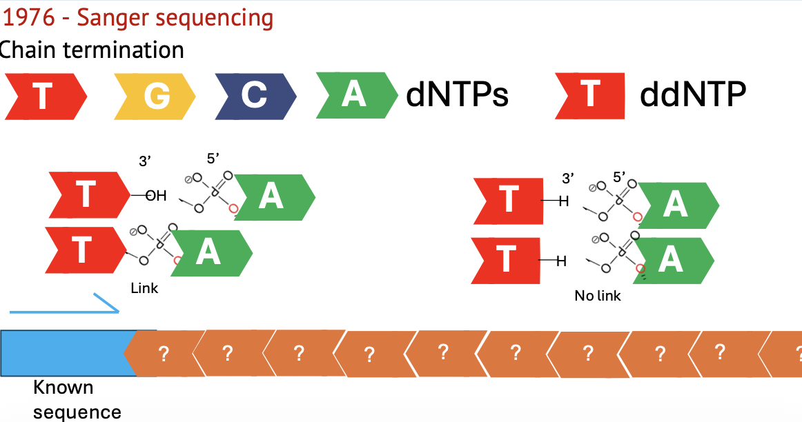 1976 - Sanger sequencing