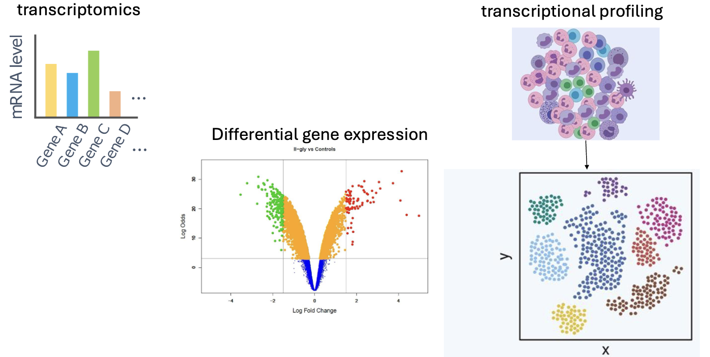RNA-seq - applications