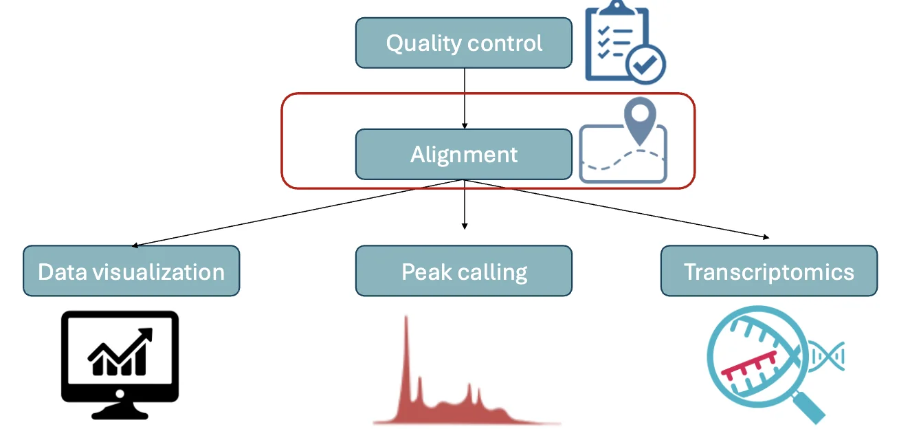 General workflow