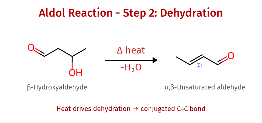 Aldol Step 2 - Condensation