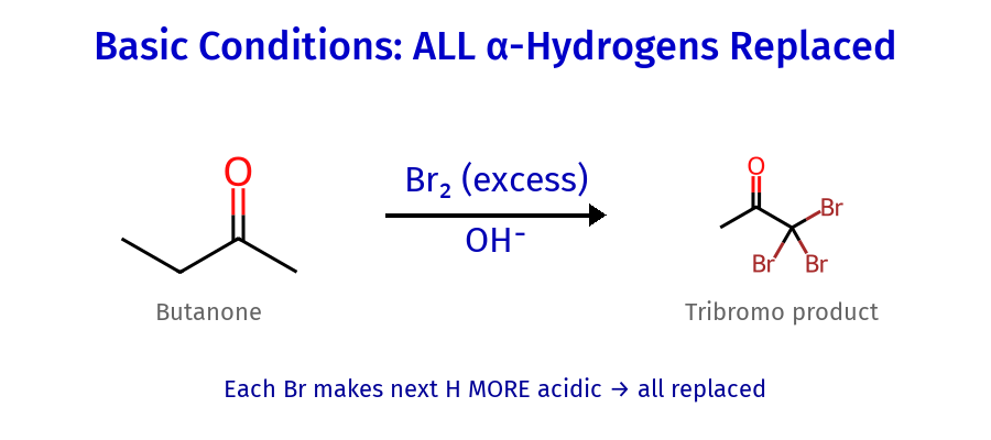 Alpha halogenation basic