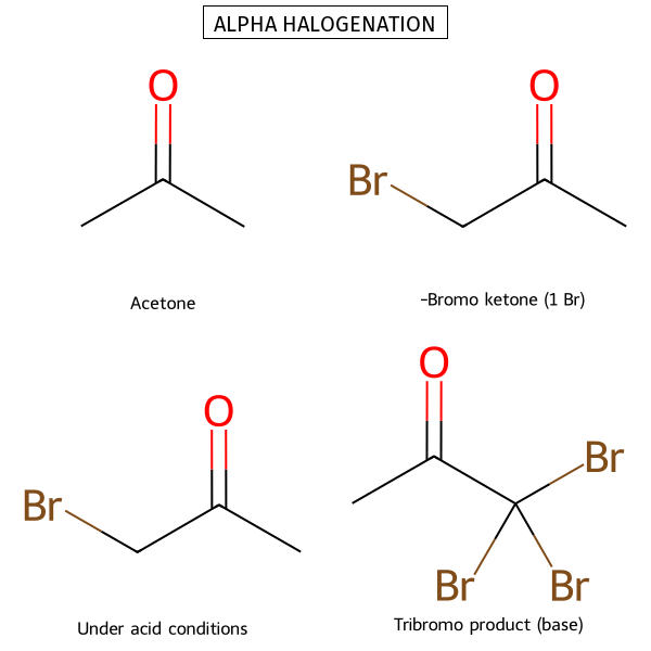 Alpha Halogenation