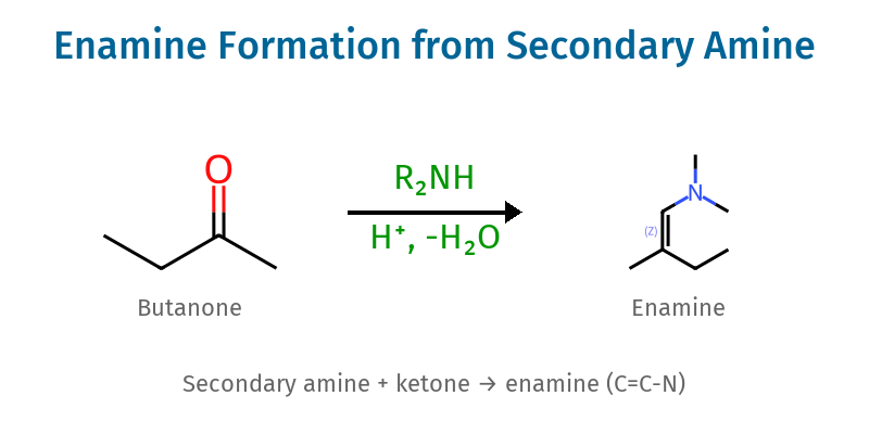 Enamine Formation