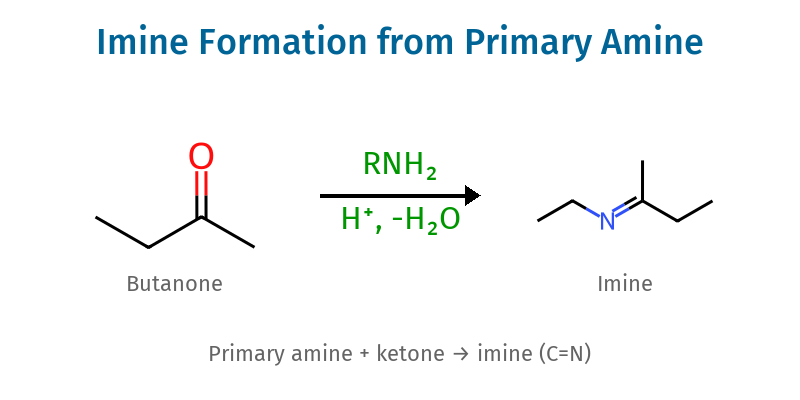 Imine Formation