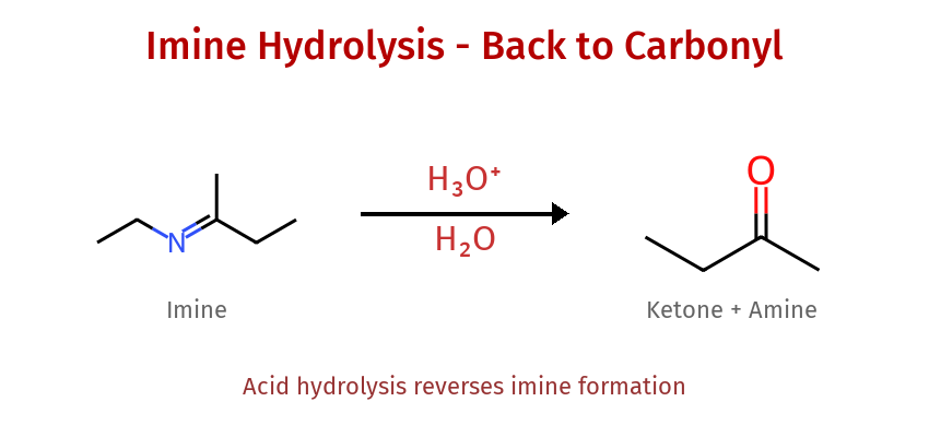 Imine Hydrolysis