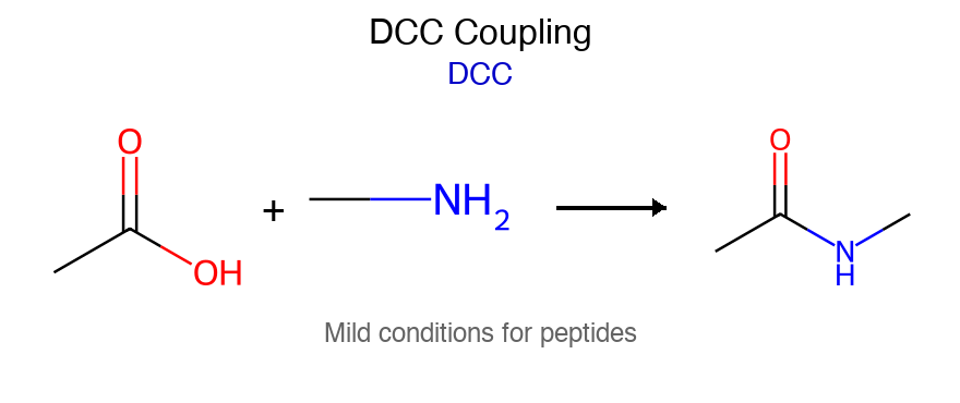 Amide Formation with DCC - Mechanism
