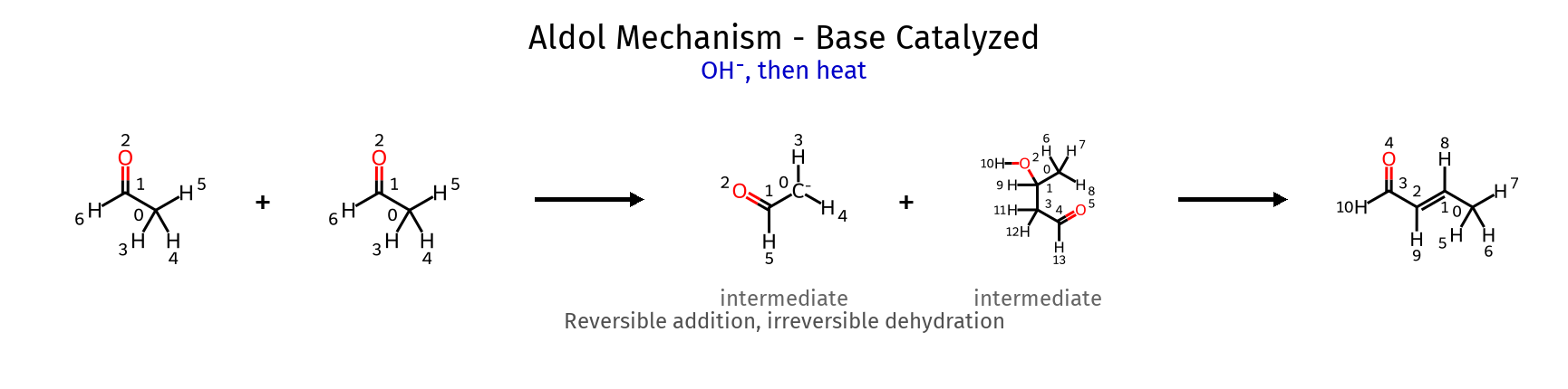 Aldol Mechanism