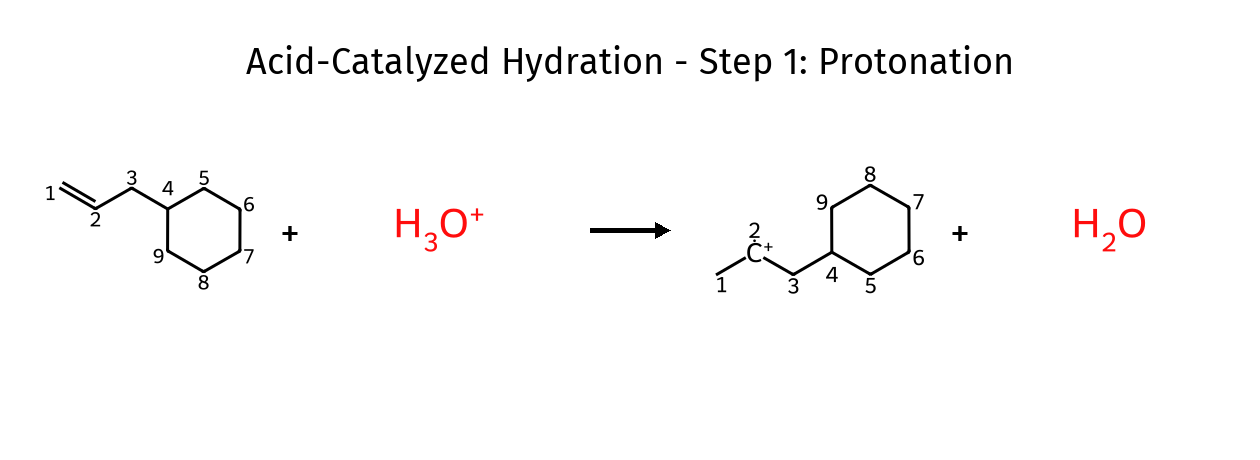 Hydration Step 1: Protonation