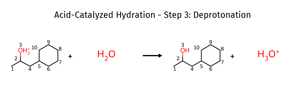 Hydration Step 3: Deprotonation