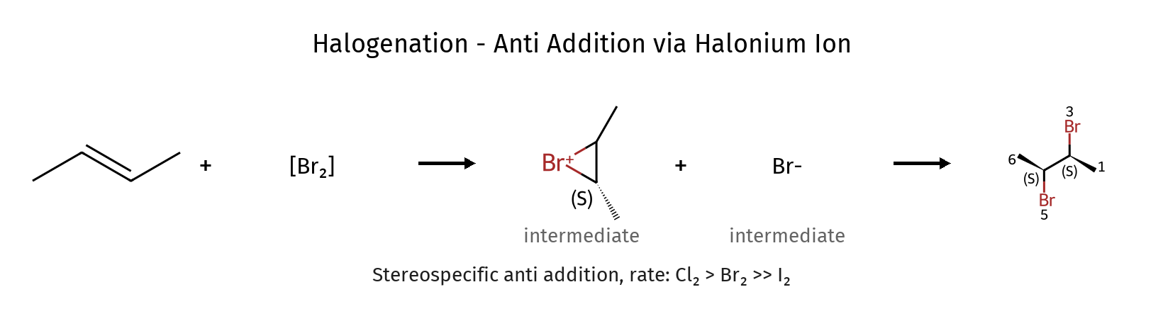 Halogenation Mechanism