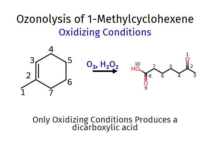 Ozonolysis of 1-Methylcyclohexene (Oxidizing Conditions)