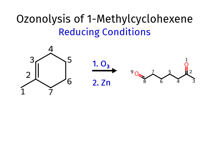 Ozonolysis of 1-Methylcyclohexene (Reducing Conditions)