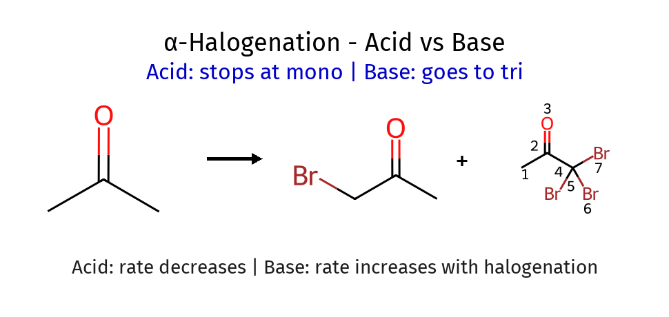 Acid vs Base conditions - Halogenation