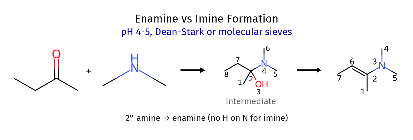 Enamine Formation