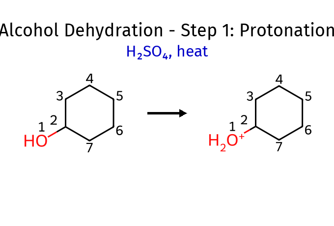 Dehydration step1 - protonation