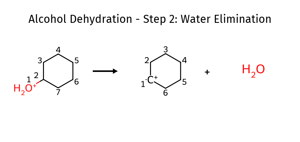 Dehydration step2 - water elimination