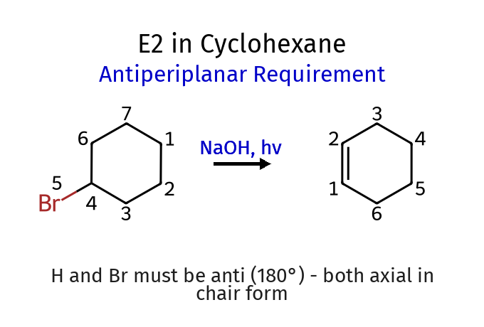 E2 in Cyclohexane