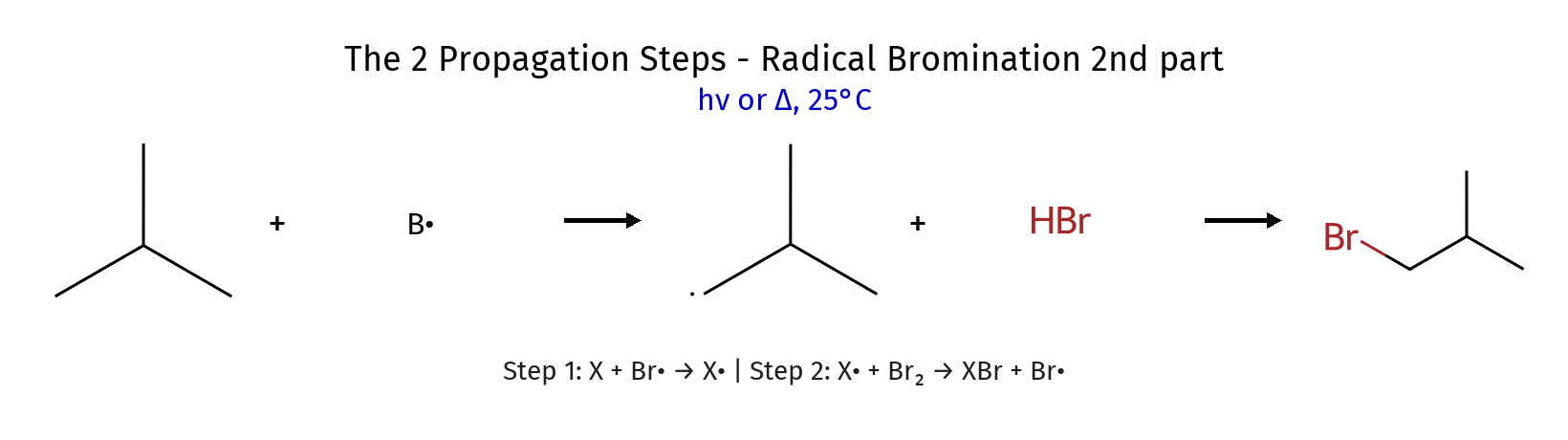 Propagation step