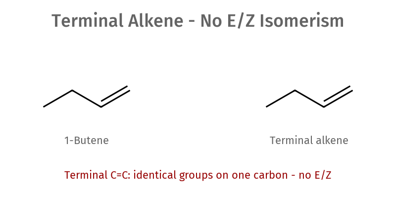Terminal Alkene