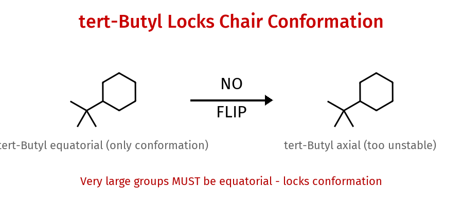 tert-Butyl locks conformation