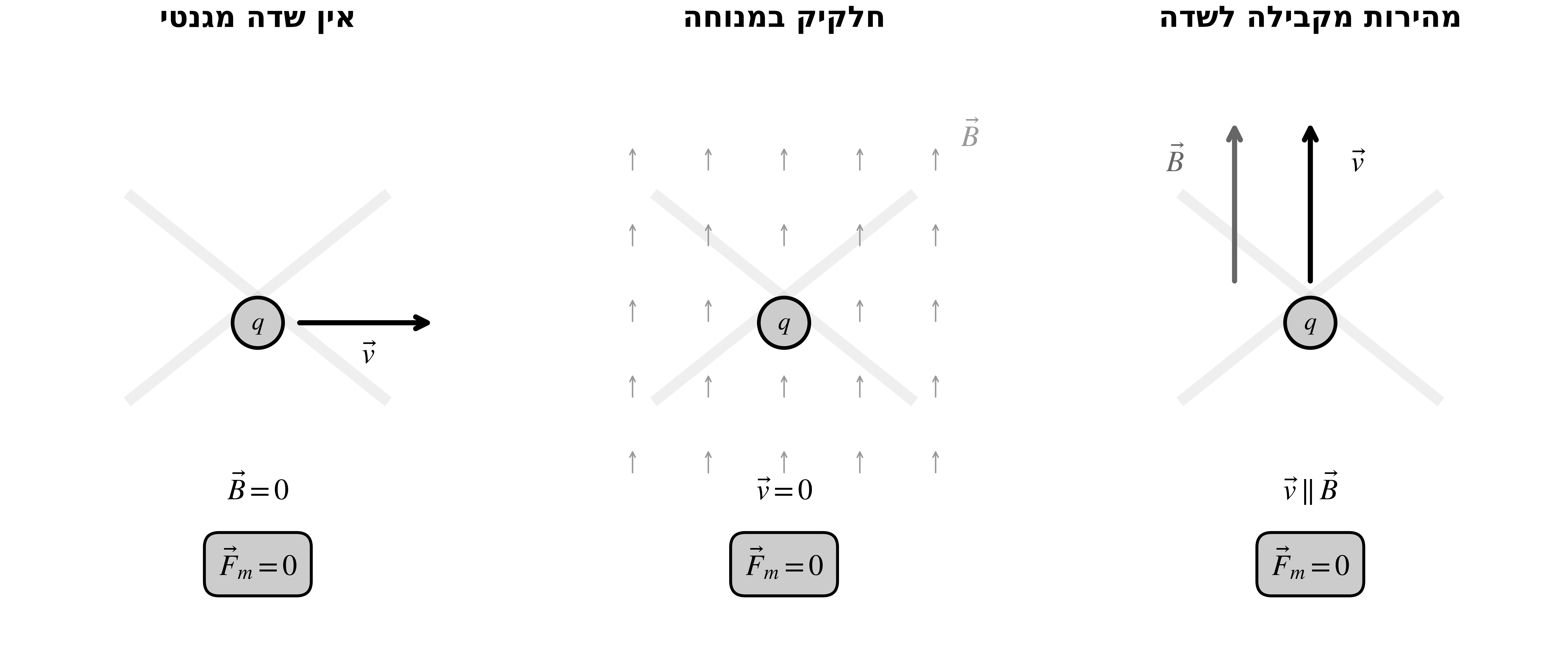 אין מגנטיות