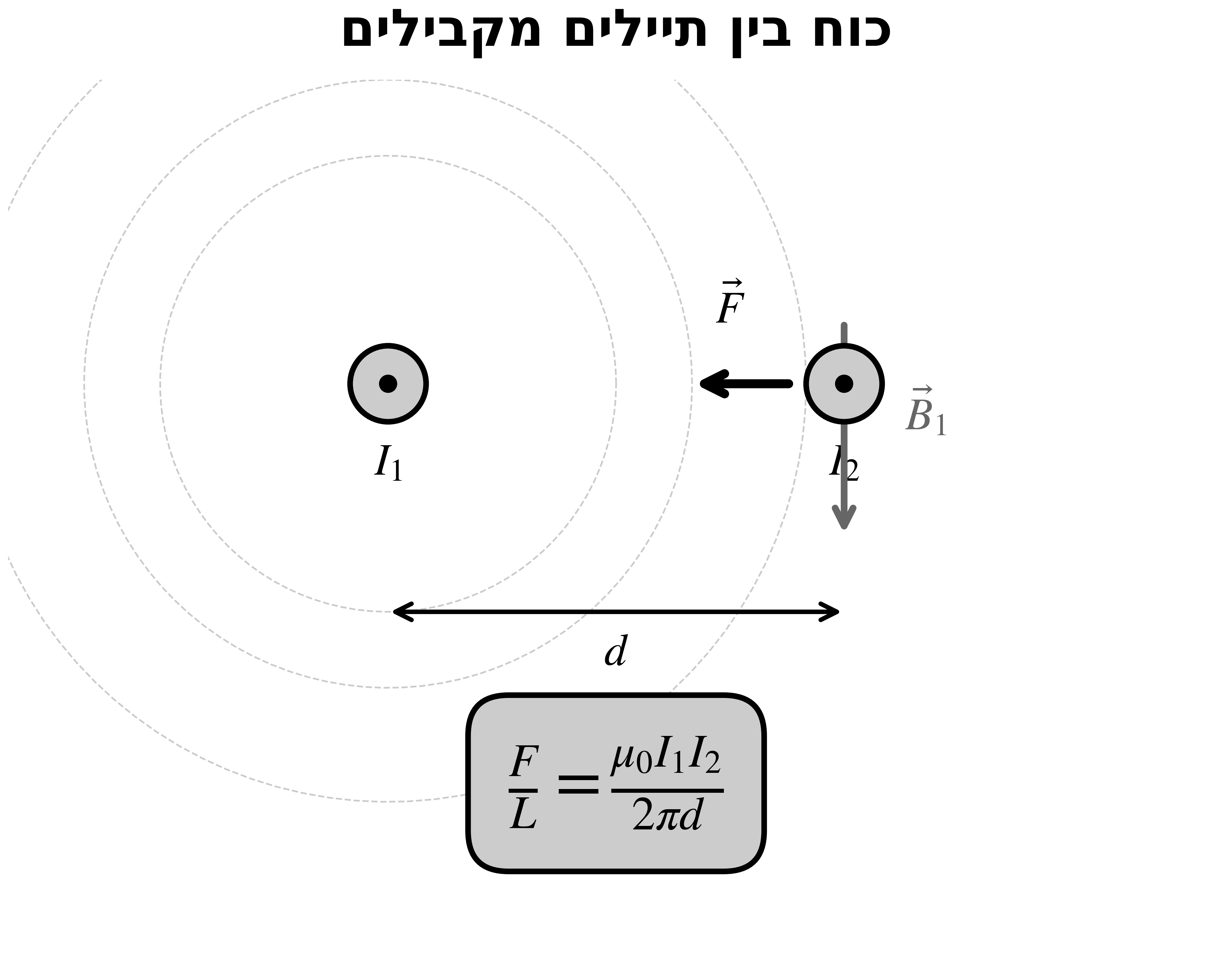 כוח בין תיילים מקבילים