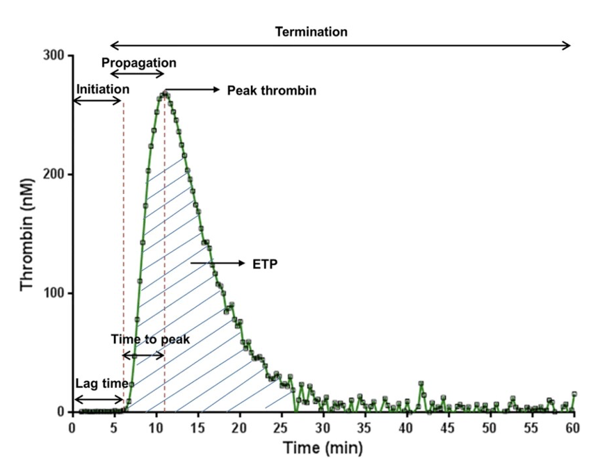 Thrombin generation