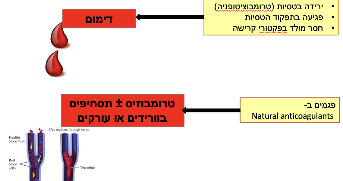 דימום לעומת טרומבוזיס או תסחיפים