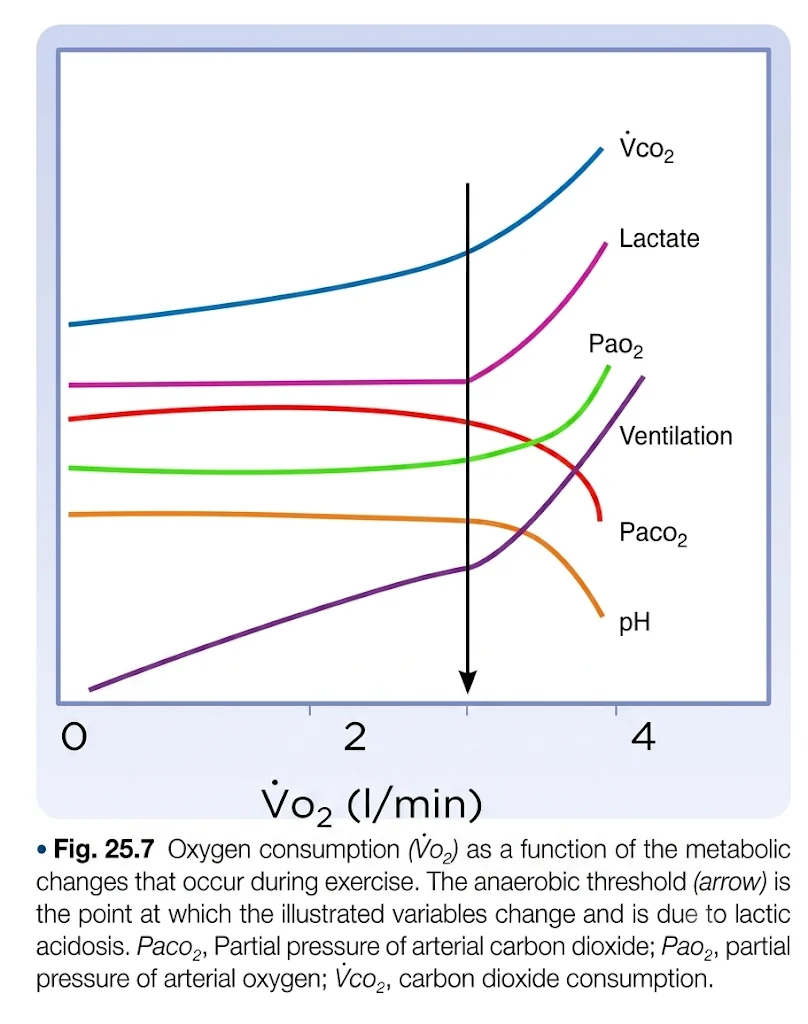 סף אנאירובי לפי VO2, לקטט ואוורור