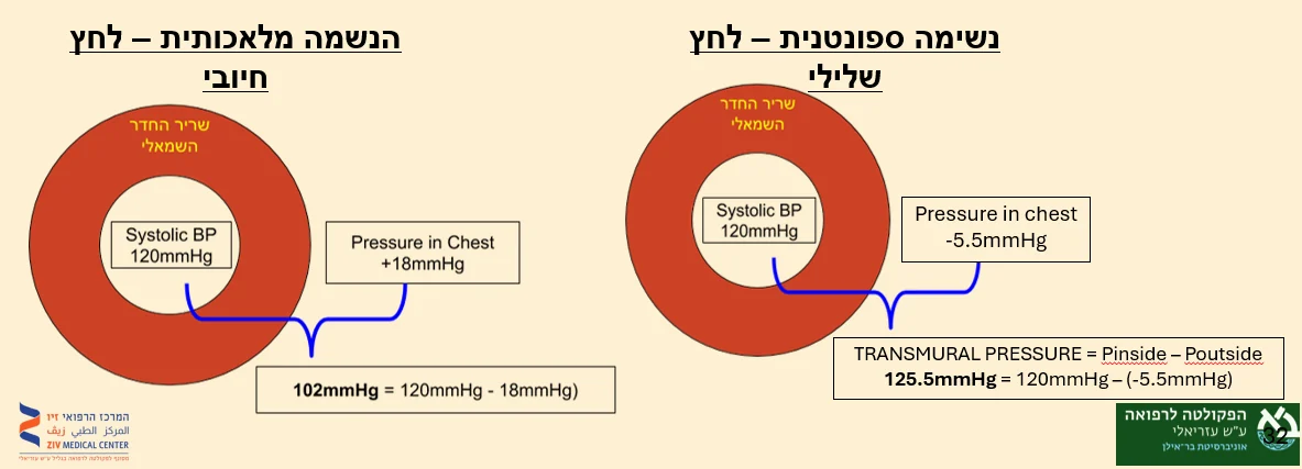 השפעת לחץ שלילי ולחץ חיובי על afterload של חדר שמאל