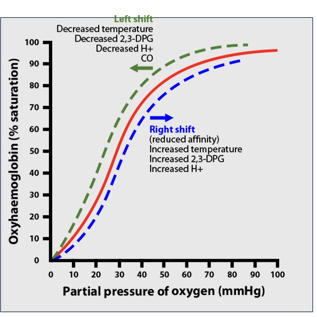 O2 DISSOCIATION CURVE
