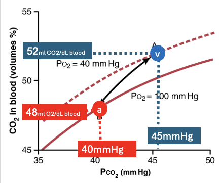 CO2 in blood vs PCO2
