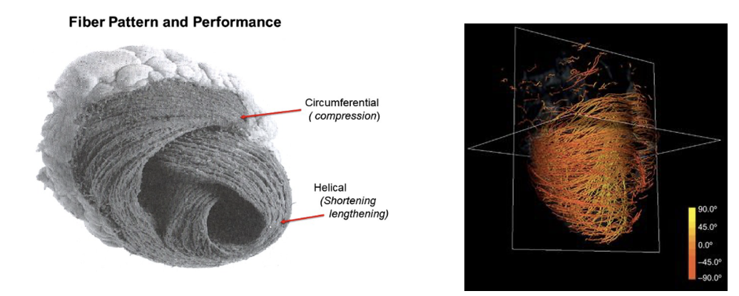 Fiber pattern and performance