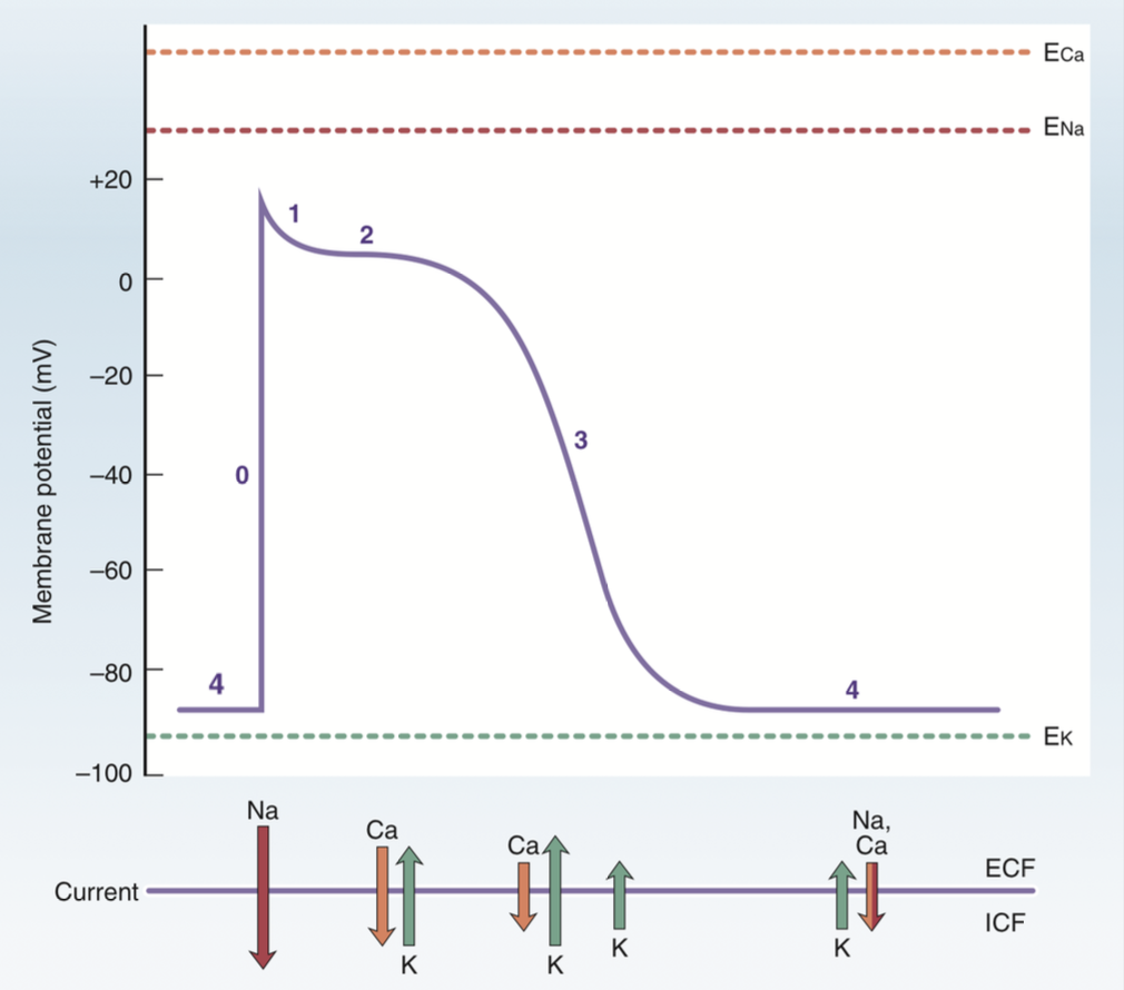 q2 solution