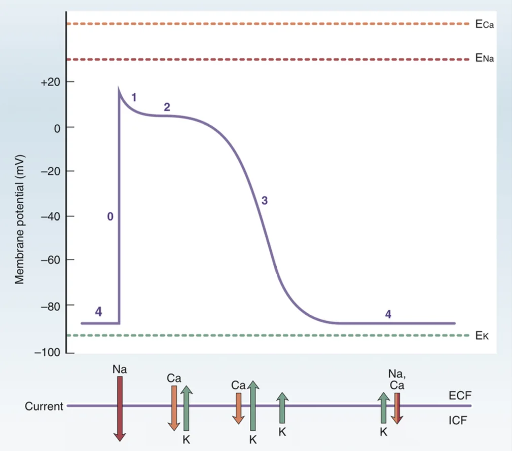 q2 solution
