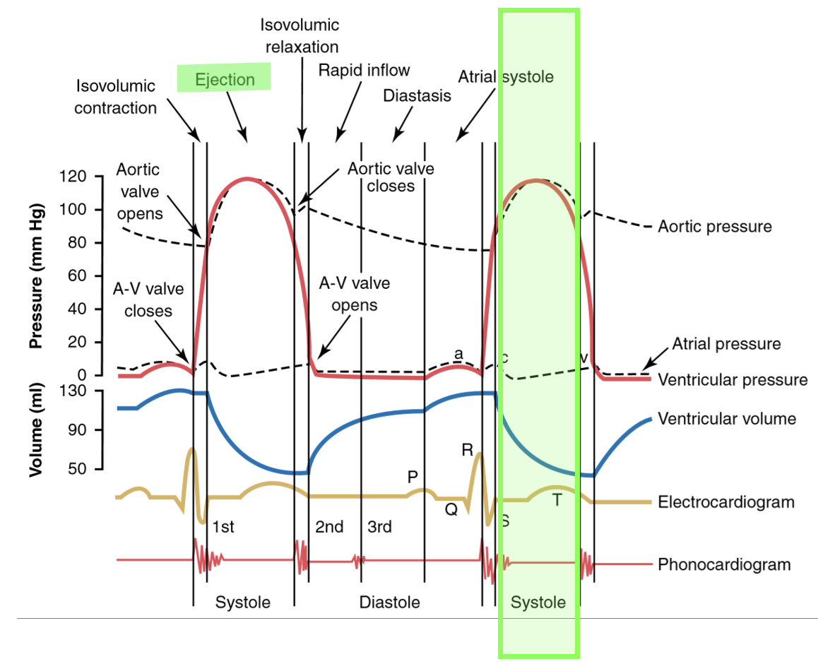 Ventricular ejection