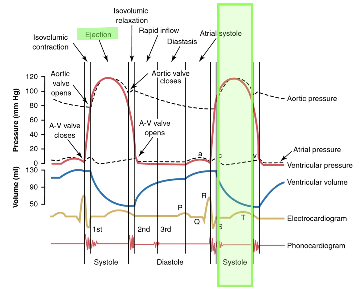 Ventricular ejection