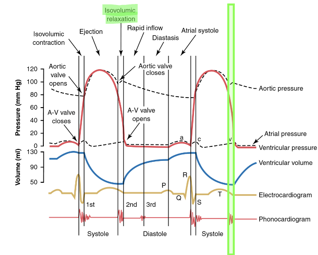 Isovolumic (isometric) relaxation
