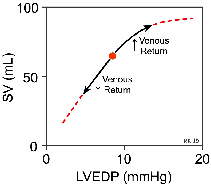LVEDP and SV