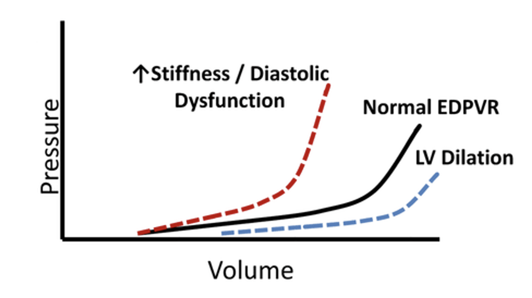 In a healthy heart, the EDVPR curve is relatively shallow, indicating that the ventricle can accommodate increased volumes of blood with only slight increases in pressure. This reflects good compliance and effective diastolic function.  In conditions such as left ventricular hypertrophy or restrictive cardiomyopathy, the ventricular walls are stiffer, and the EDVPR curve becomes steeper. This means that small increases in end-diastolic volume result in large increases in end-diastolic pressure, reflecting poor compliance and impaired diastolic function.  Conversely, conditions that lead to increased ventricular compliance, such as dilated cardiomyopathy, result in a flatter EDVPR curve. The ventricle can hold more blood without a significant rise in pressure, although this can sometimes be maladaptive, leading to inefficient systolic function.