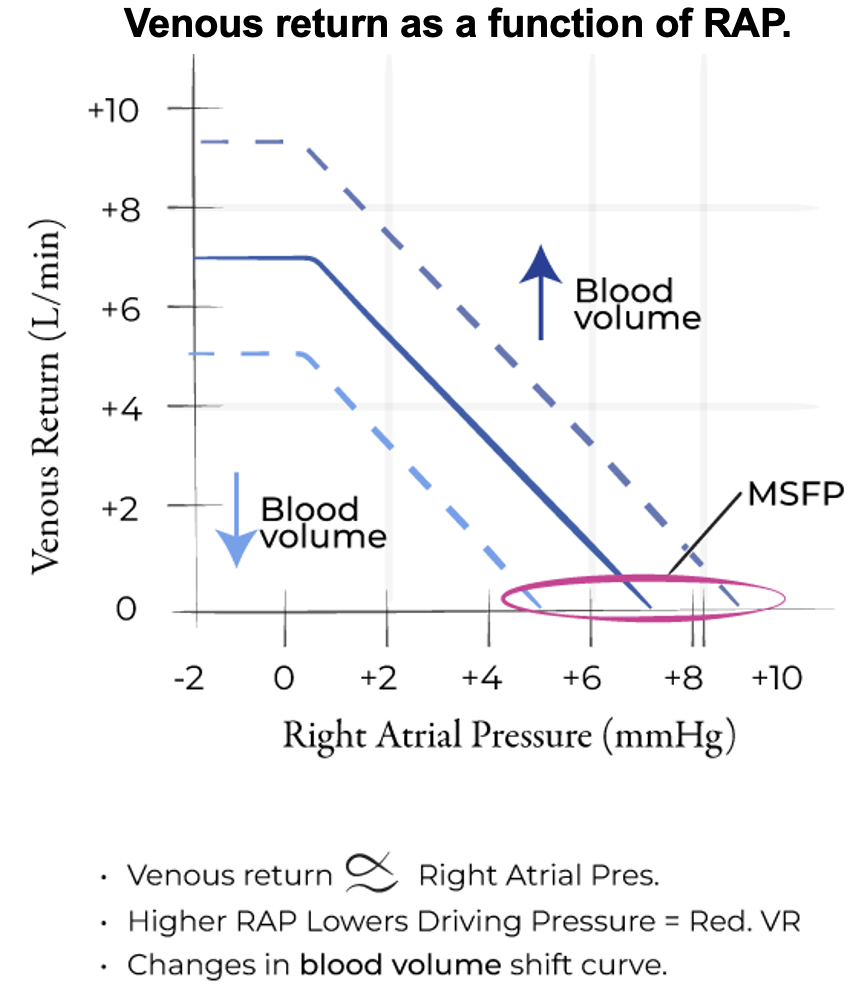 Vascular Function Curve