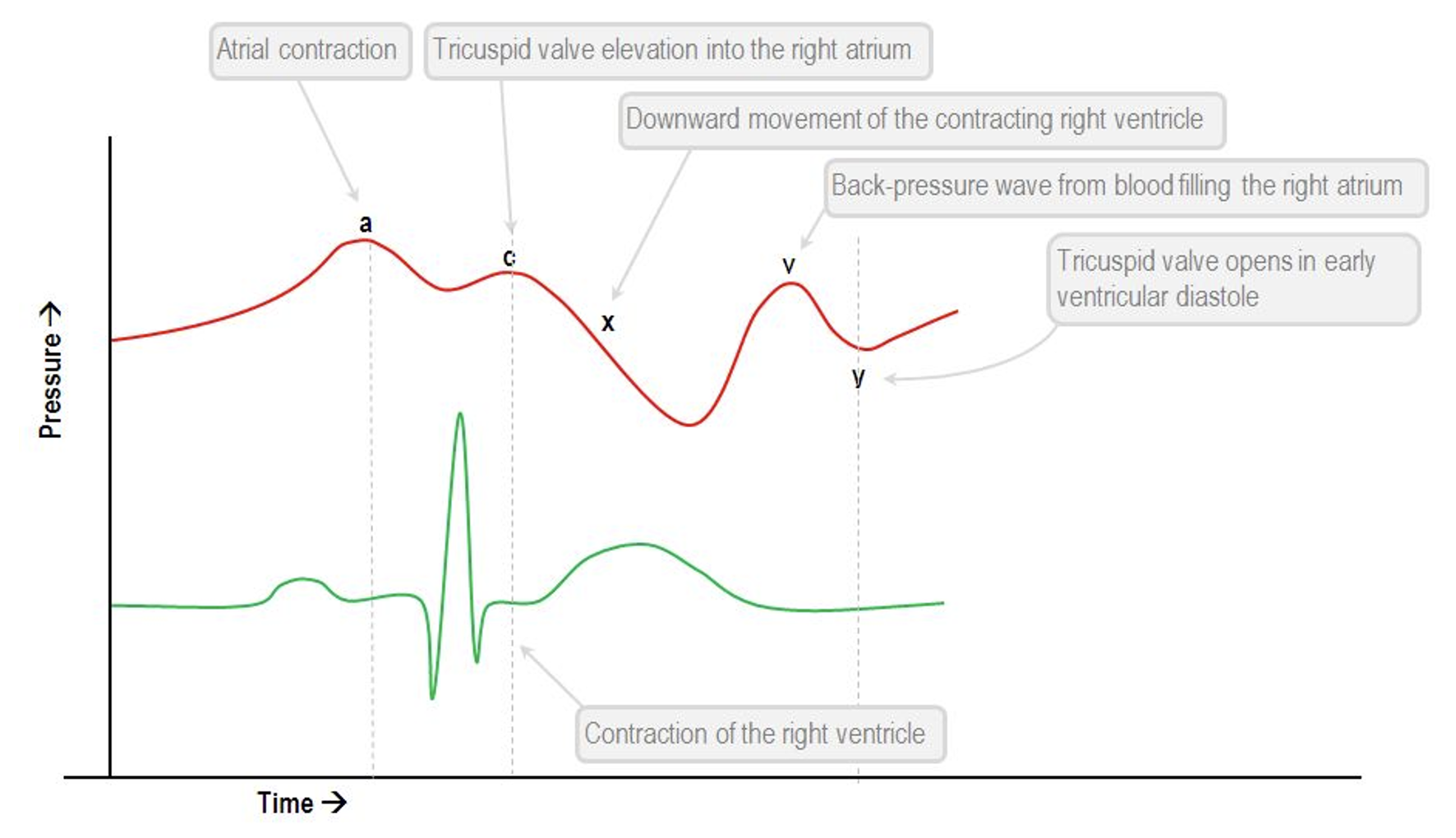 Venous Pressures