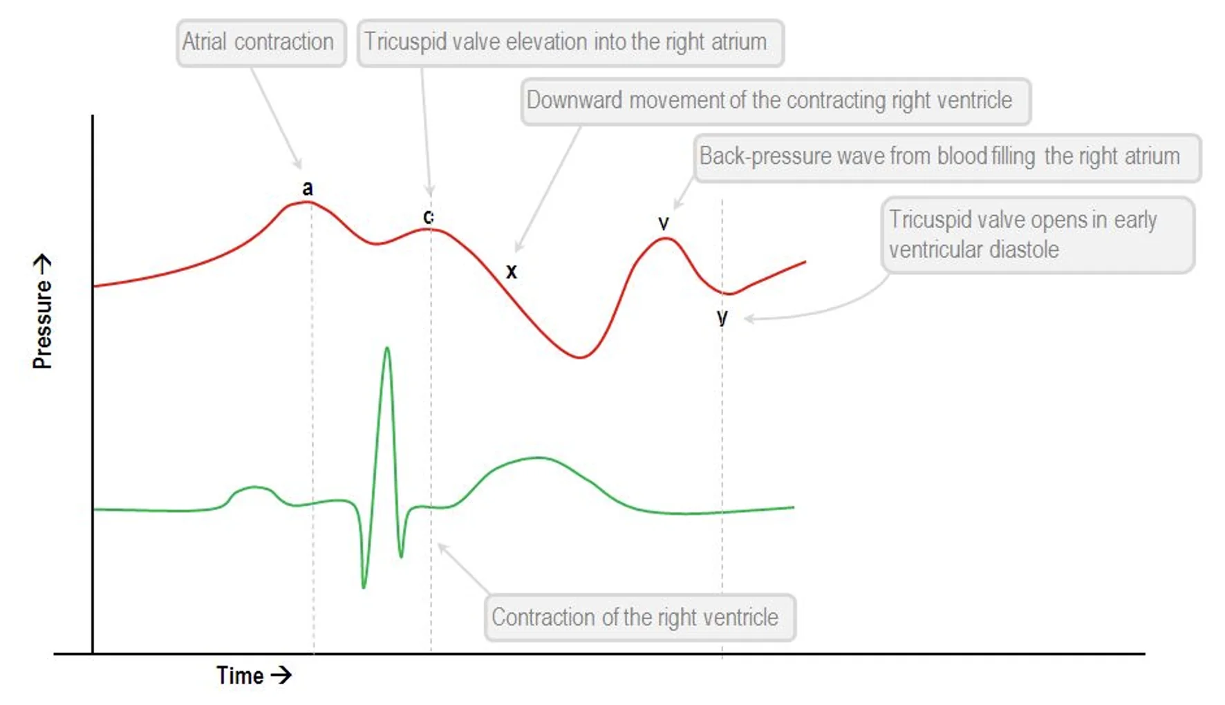 Venous Pressures