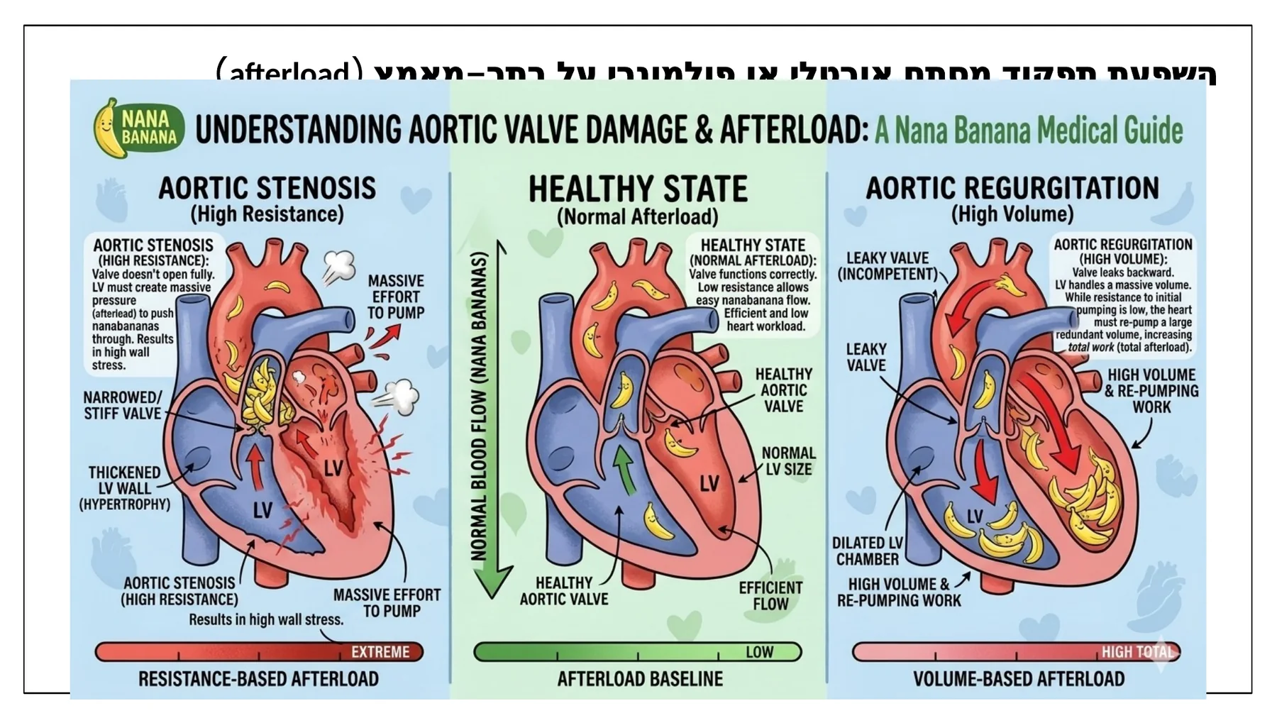 Aortic valve damage and afterload