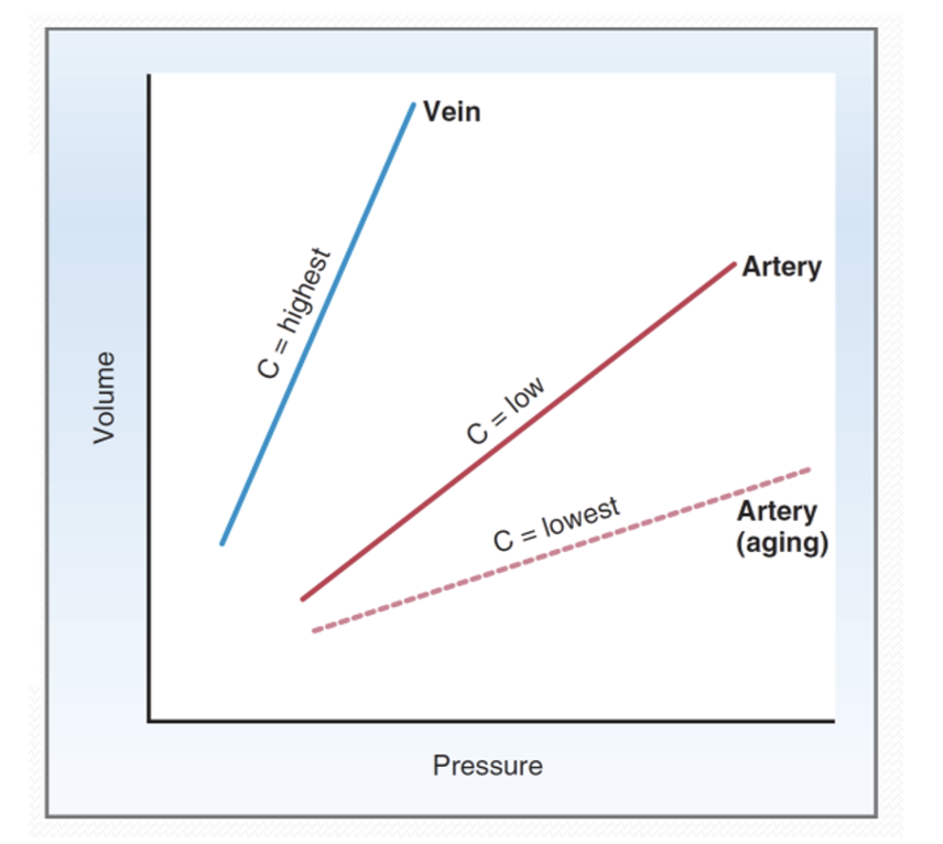 Vascular compliance